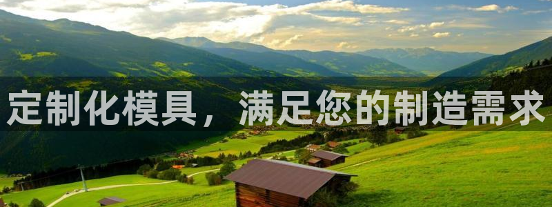 太阳成集团的官方网站：定制化模具，满足您的制造需求