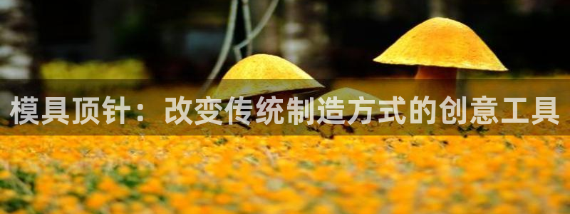 冷たい太阳：模具顶针：改变传统制造方式的创意工具