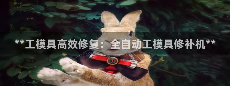 太阳集团城安卓版游戏：**工模具高效修复：全自动工模具修补机**