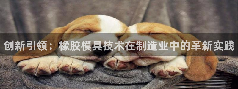 太阳成娱乐app下载：创新引领：橡胶模具技术在制造业中的革新实践