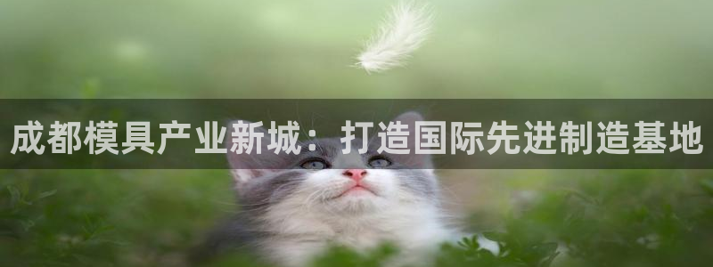 太阳成集团tyc234cc[主页]振：成都模具产业新城：打造国际先进制造基地