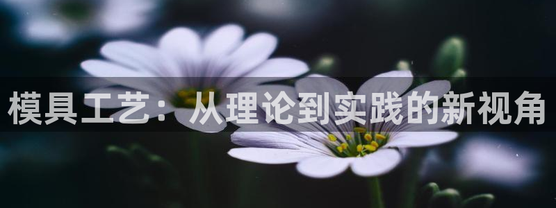 太阳集团游戏城旧版