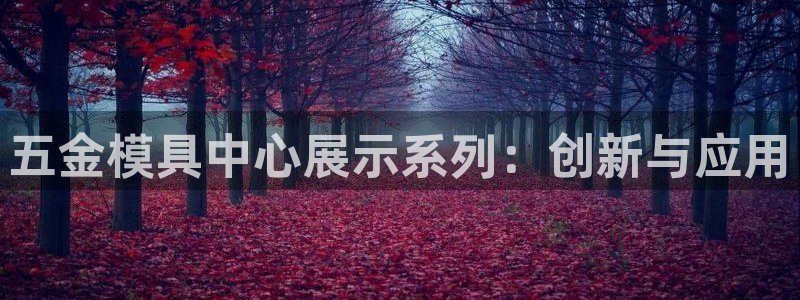 太阳老板身价：五金模具中心展示系列：创新与应用