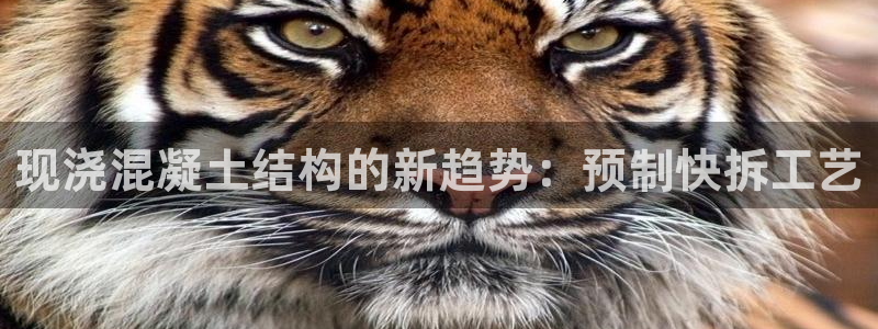 太阳集团在中国合法吗：现浇混凝土结构的新趋势：预制快拆工艺