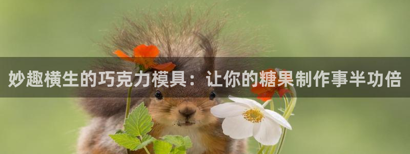 太阳gg登录地址：妙趣横生的巧克力模具：让你的糖果制作事半功倍
