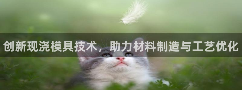 太阳集团股份有限公司官网：创新现浇模具技术，助力材料制造与工艺优化