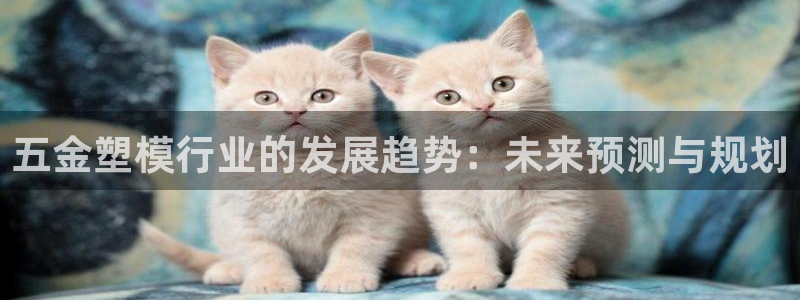 8827太阳集团：五金塑模行业的发展趋势：未来预测与规划