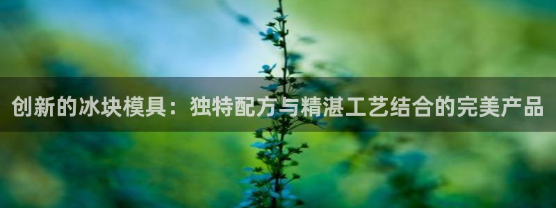 太阳 官网：创新的冰块模具：独特配方与精湛工艺结合的完美产品