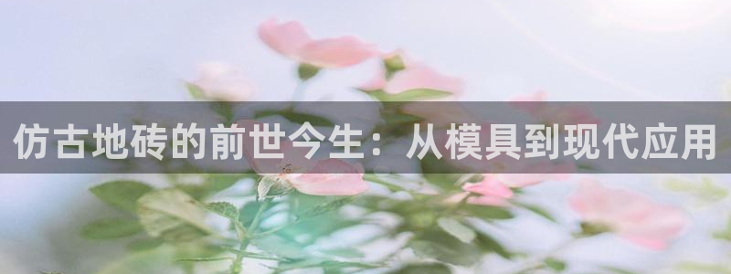 冷太阳什么意思：仿古地砖的前世今生：从模具到现代应用