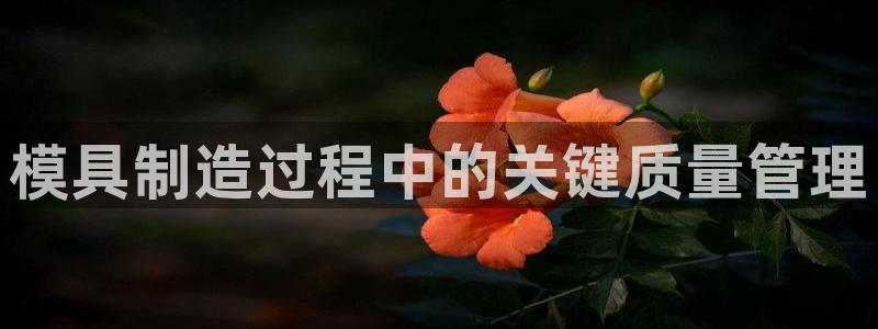 太阳集团在中国合法吗：模具制造过程中的关键质量管理