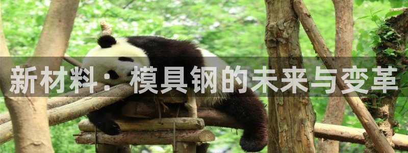 太阳成集团游戏合集：新材料：模具钢的未来与变革