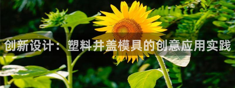 澳门太阳集团与古天乐：创新设计：塑料井盖模具的创意应用实践