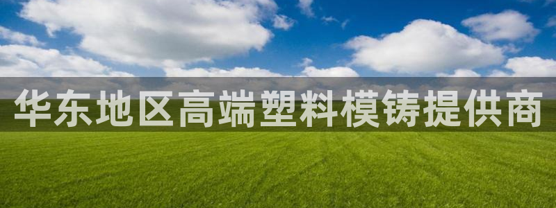 冷たい太阳：华东地区高端塑料模铸提供商