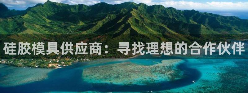 太阳集团控股有限公司：硅胶模具供应商：寻找理想的合作伙伴