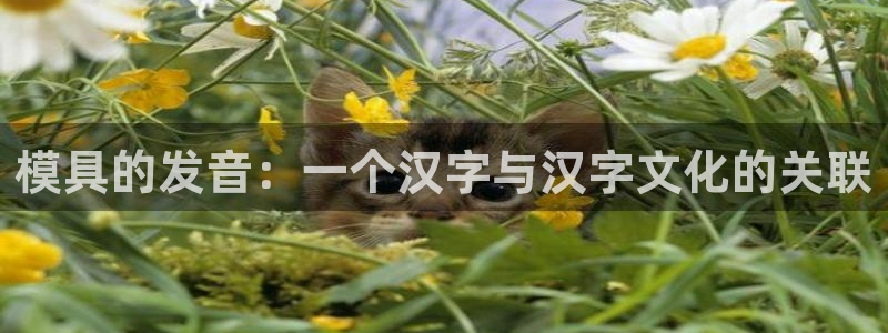 太阳集团电子游戏：模具的发音：一个汉字与汉字文化的关联