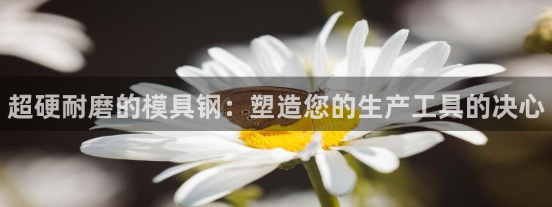 太阳集团在国内三个分公司：超硬耐磨的模具钢：塑造您的生产工具的决心
