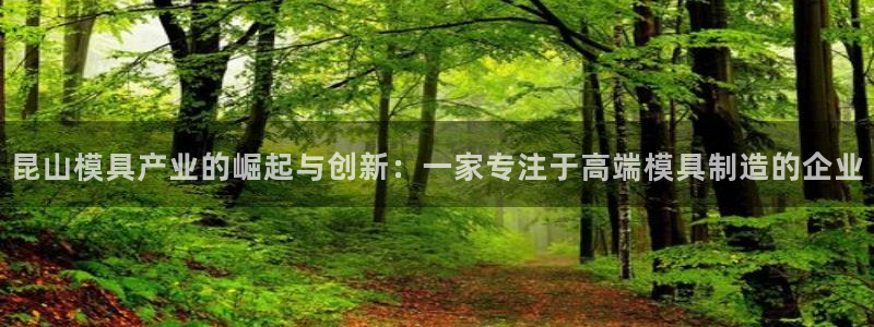 太阳集团城网址娱网 - 太阳集团电子游戏：昆山模具产业的崛起与创新：一家专注于高端模具制造的企业