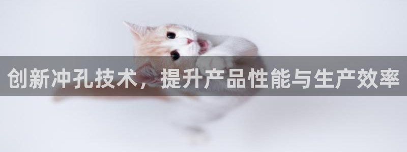太阳gg平台登陆：创新冲孔技术，提升产品性能与生产效率