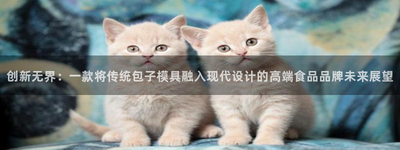 太阳集团网址8722：创新无界：一款将传统包子模具融入现代设计的高端食品品牌未来展望