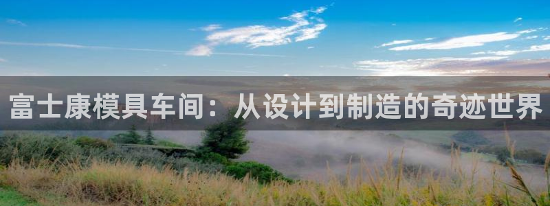 太阳集团在中国合法吗：富士康模具车间：从设计到制造的奇迹世界