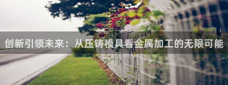 太阳集团城官方app下载苹果：创新引领未来：从压铸模具看金属加工的无限可能