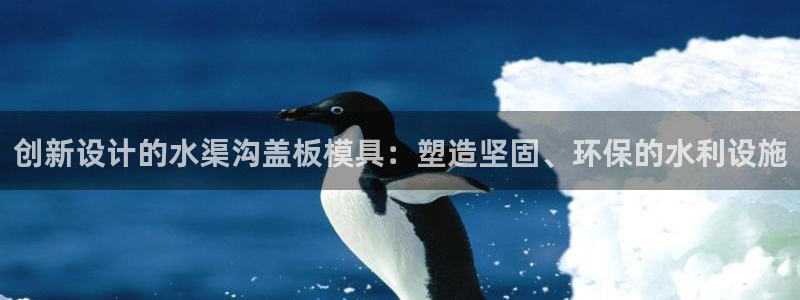 太阳集团城娱8722官方网站：创新设计的水渠沟盖板模具：塑造坚固、环保的水利设施
