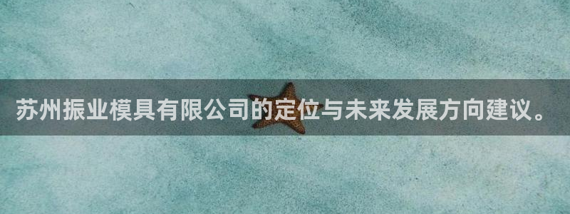 太阳集团网站入口官网：苏州振业模具有限公司的定位与未来发展方向建议。