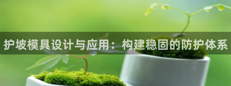 太阳集团官网导航：护坡模具设计与应用：构建稳固的防护体系