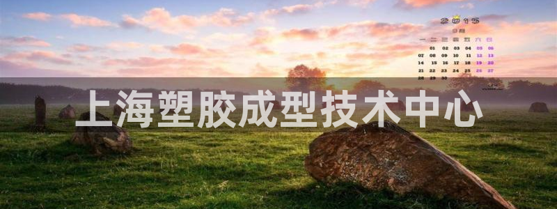 太阳集团的法人代表
