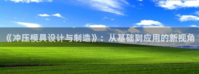 太阳诚集团是干什么的：《冲压模具设计与制造》：从基础到应用的新视角