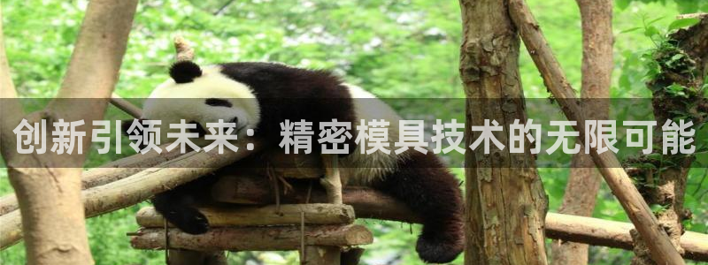 太阳集团是一家什么公司：创新引领未来：精密模具技术的无限可能