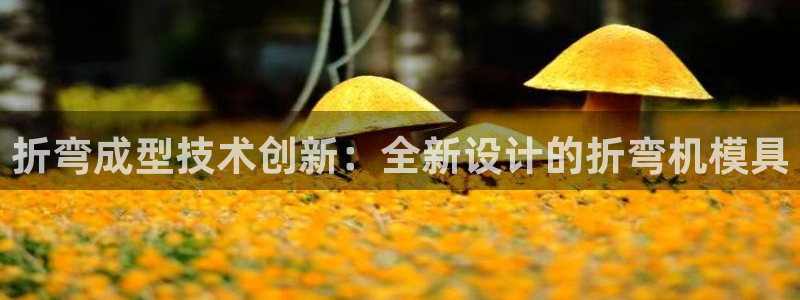 太阳诚集团有限公司有多少人：折弯成型技术创新：全新设计的折弯机模具