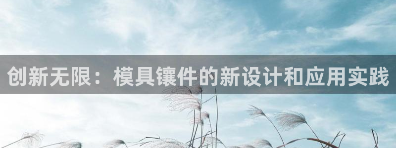 太阳集团在线：创新无限：模具镶件的新设计和应用实践