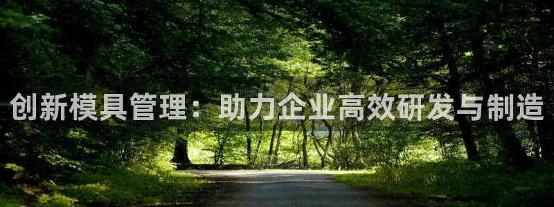 太阳成集团tyc122cc客服：创新模具管理：助力企业高效研发与制造