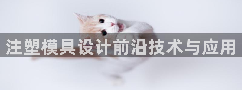 澳门太阳集团老板洗米华：注塑模具设计前沿技术与应用