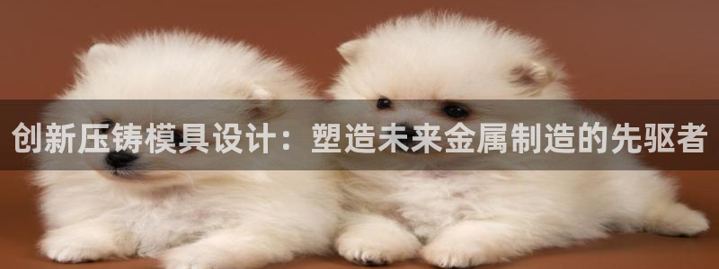 太阳集团网站入口：创新压铸模具设计：塑造未来金属制造的先驱者