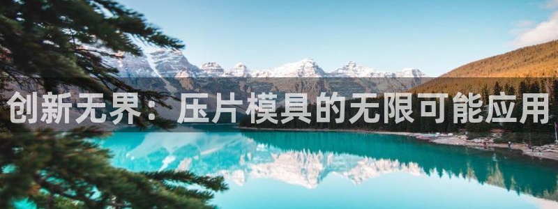 太阳集团娱乐全部网址视频：创新无界：压片模具的无限可能应用