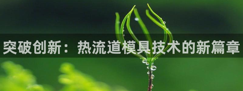 太阳国际游戏平台：突破创新：热流道模具技术的新篇章